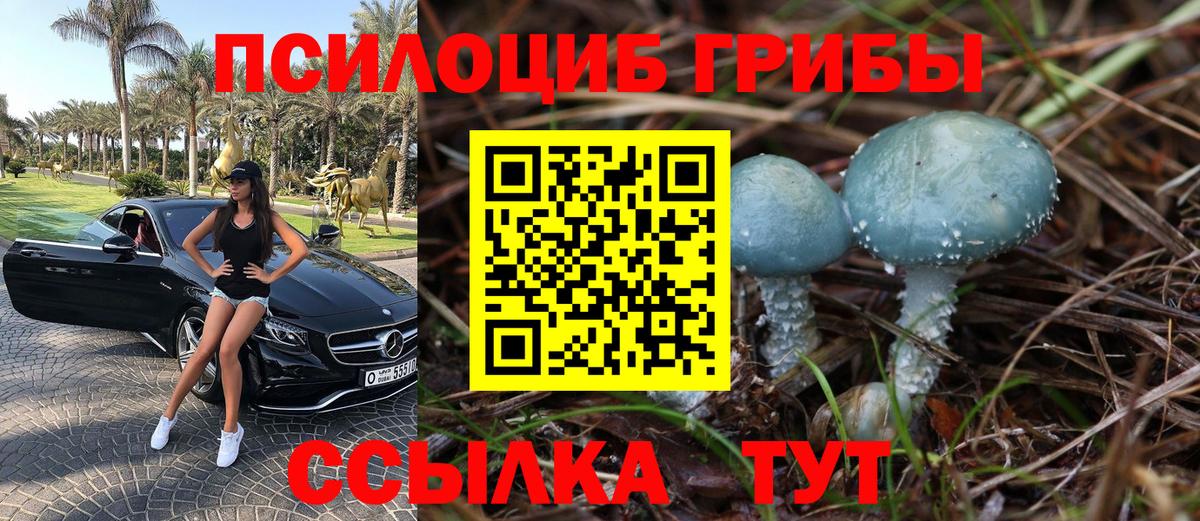 Псилоцибиновые грибы Psilocybine cubensis  Галлюциногенные грибы прущие грибы  Чапаевск  Вход с VPN 