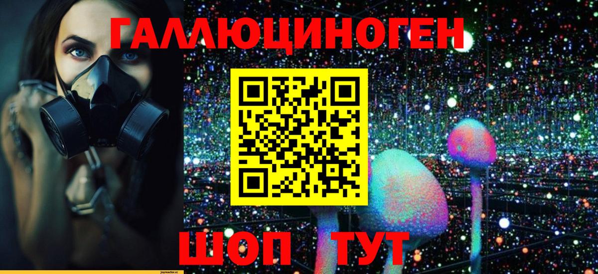 Псилоцибиновые грибы Psilocybe Чапаевск