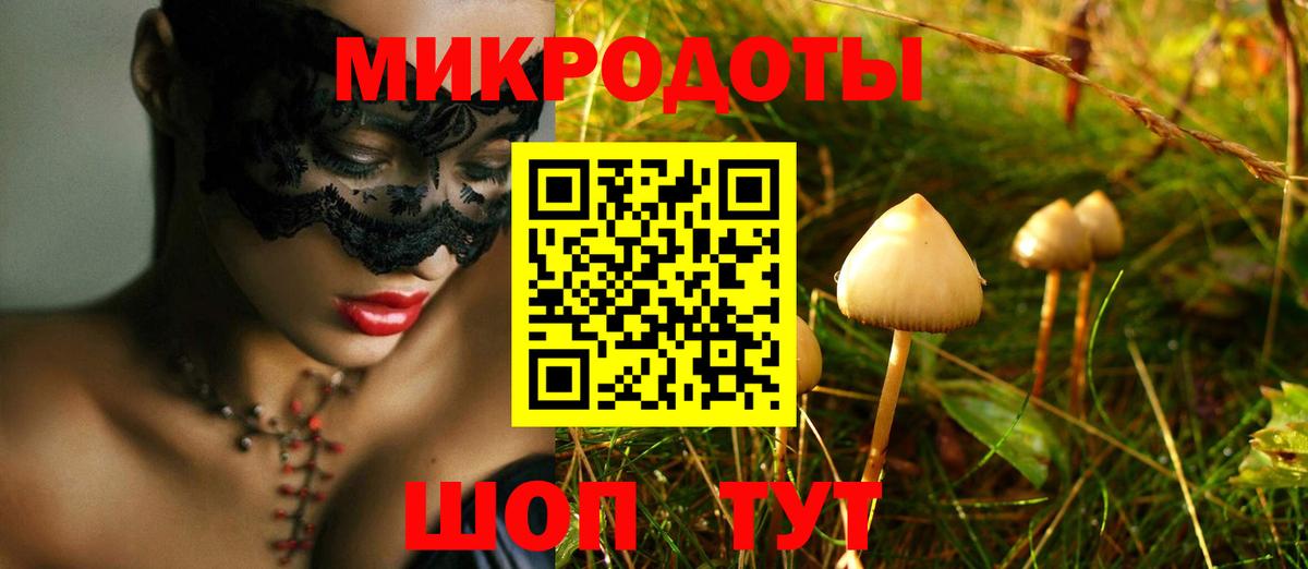 Псилоцибиновые грибы GOLDEN TEACHER Чапаевск